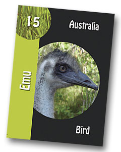 Emu playing card in the Komodo Board Game